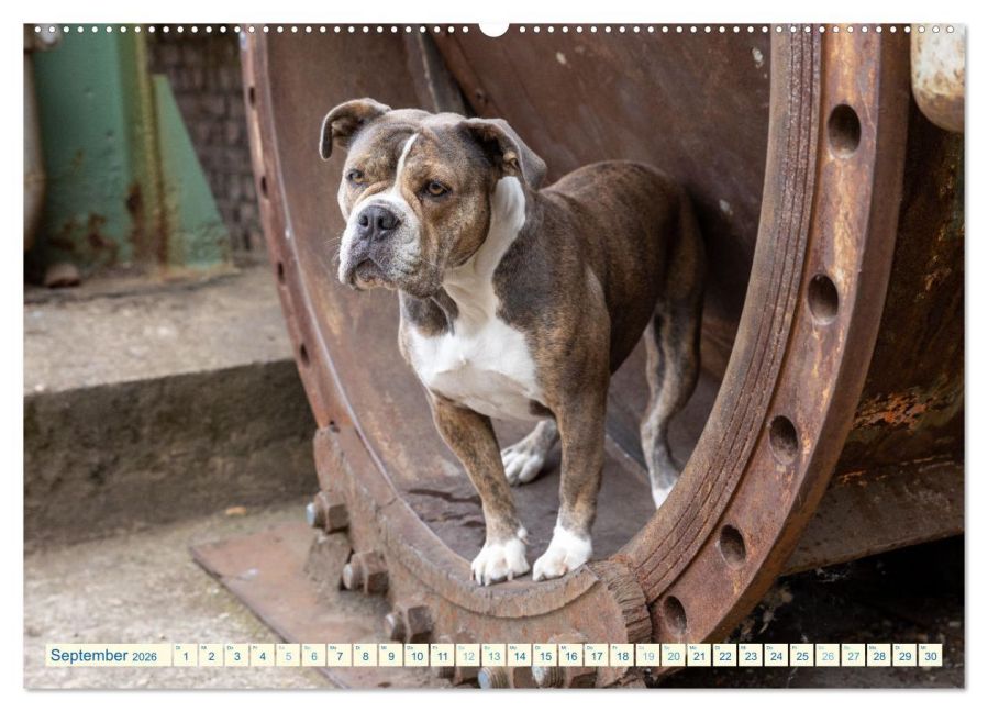 InsideView 14
