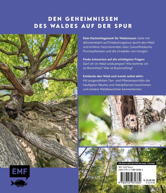 InsideView 15