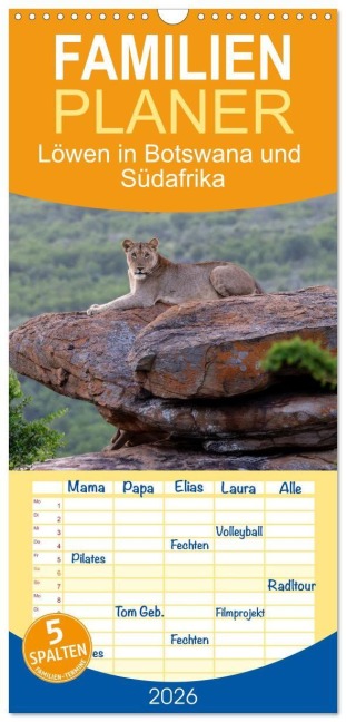 Familienplaner 2026 - Löwen in Botswana und Südafrika mit 5 Spalten (Wandkalender, 21 x 45 cm) CALVENDO - Carolin Eberhard @caro_goes_wild. erness