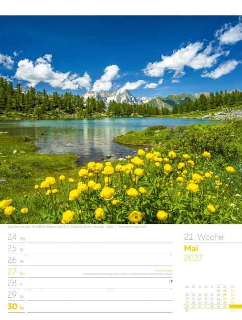 InsideView 25