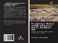 Cover-Bild zum Titel 'Un approccio al disturbo mentale nell'altopiano Dogon di Bandiagara, Mali' von 'Pakuy Pierre Mounkoro'