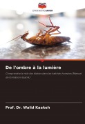 Cover-Bild zum Titel 'De l'ombre à la lumière' von 'Walid Kaakeh'