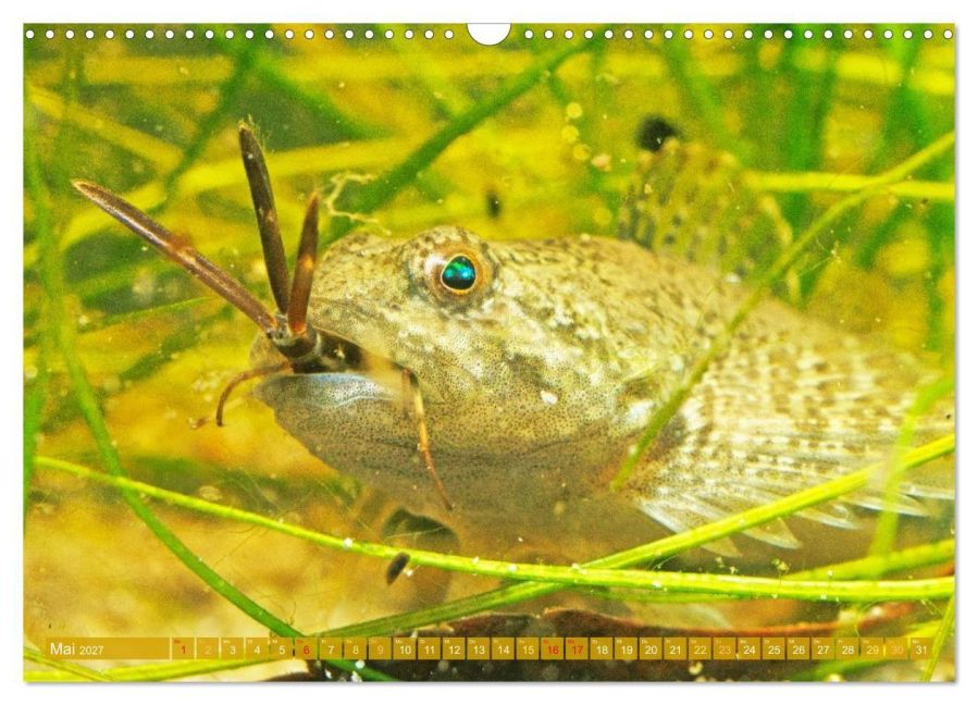 InsideView 10