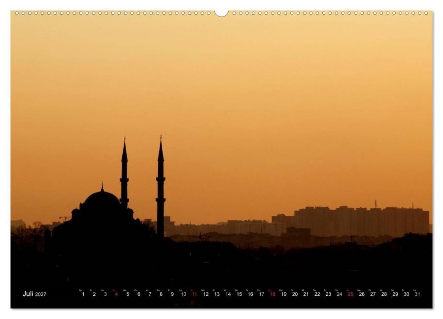 InsideView 12