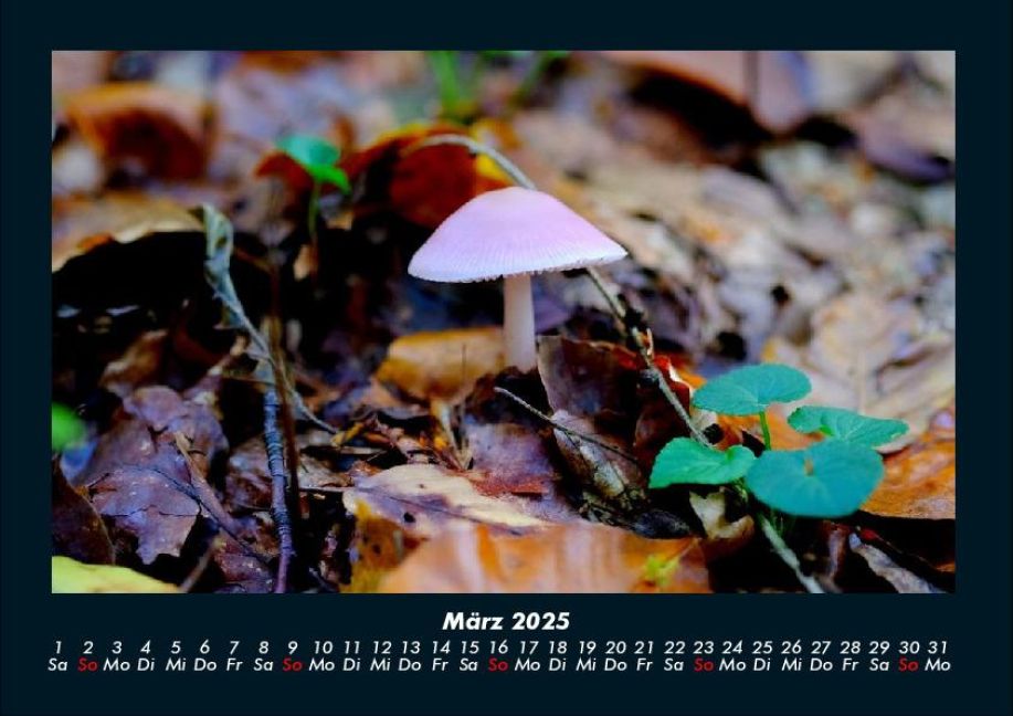 InsideView 7