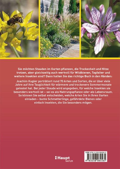 InsideView 5