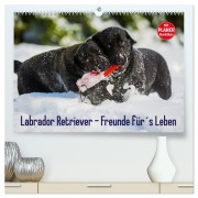 Cover-Bild zum Titel 'Labrador Retriever - Freunde für¿s Leben (hochwertiger Premium Wandkalender 2026 DIN A2 quer), Kunstdruck in Hochglanz' von 'Sigrid Starick'