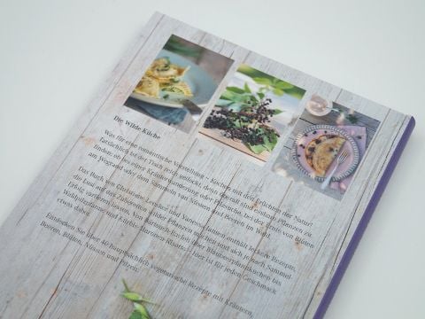 InsideView 4