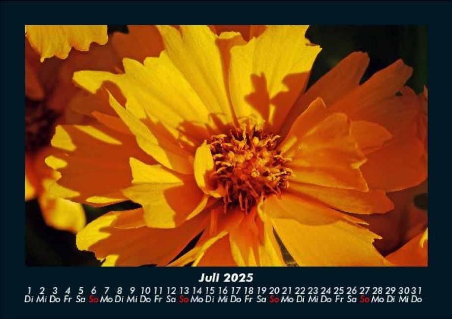InsideView 11
