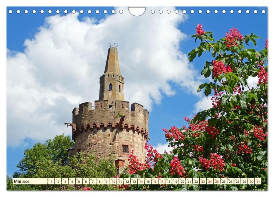 InsideView 10
