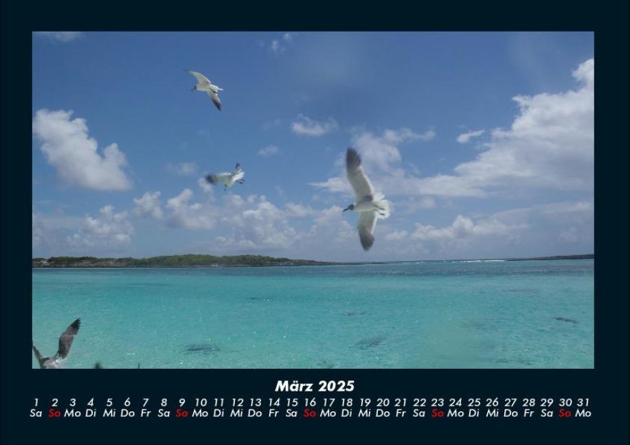 InsideView 7