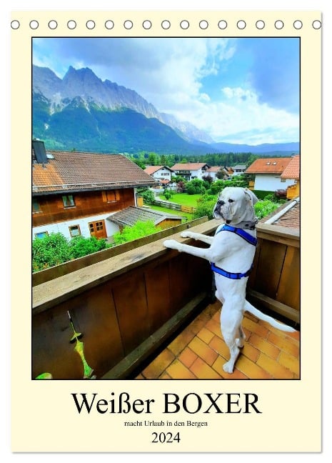 Weißer BOXER (Tischkalender 2024 DIN A5 hoch), CALVENDO Monatskalender - Manuela L. K.