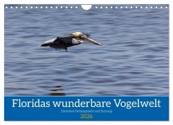 Cover-Bild zum Titel 'Floridas wunderbare Vogelwelt (Wandkalender 2026 DIN A4 quer), CALVENDO Monatskalender' von 'Andreas Klesse'