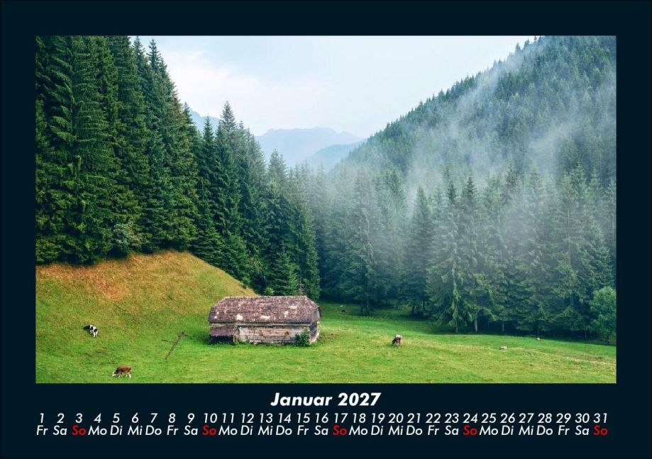 InsideView 5