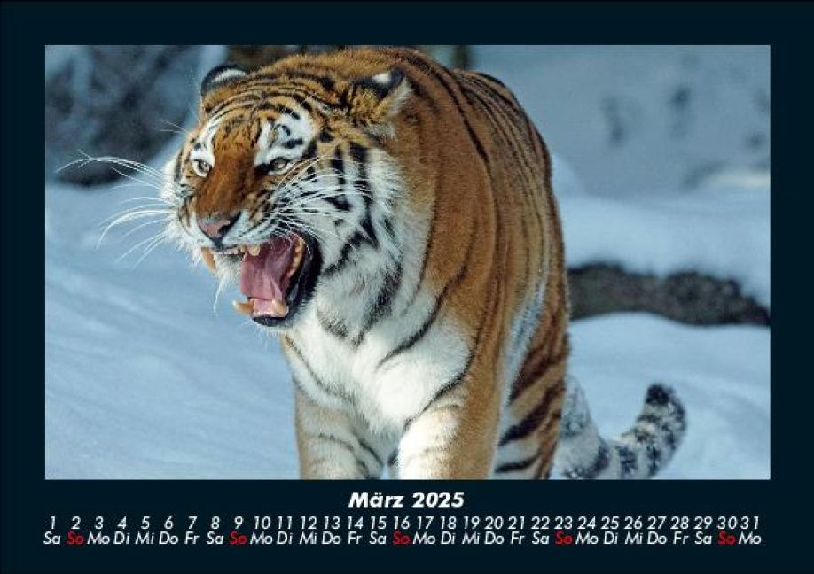 InsideView 7