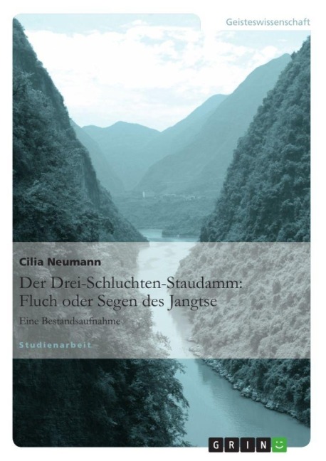 Der Drei-Schluchten-Staudamm: Fluch oder Segen des Jangtse - Cilia Neumann
