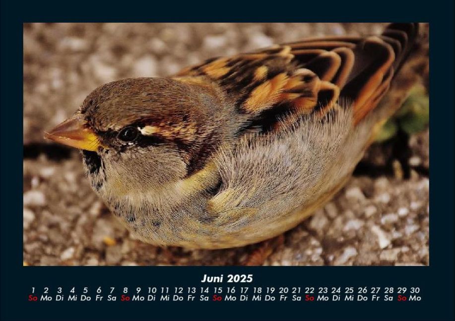 InsideView 10