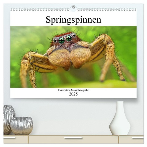 Faszination Makrofotografie: Springspinnen (hochwertiger Premium Wandkalender 2025 DIN A2 quer), Kunstdruck in Hochglanz - Alexander Mett Photography