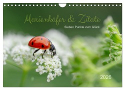 Cover-Bild zum Titel 'Marienkäfer & Zitate - Sieben Punkte zum Glück (Wandkalender 2026 DIN A4 quer), CALVENDO Monatskalender' von 'Edith Nero Photography'