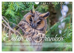 Cover-Bild zum Titel 'Eulen in Franken (Wandkalender 2026 DIN A4 quer), CALVENDO Monatskalender' von 'Jennifer Hetzel'