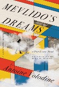 Cover-Bild zum Titel 'Mevlido's Dreams' von 'Antoine Volodine'