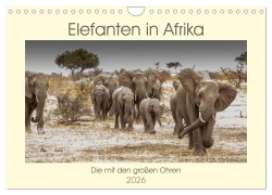 Cover-Bild zum Titel 'Elefanten in Afrika - Die mit den großen Ohren (Wandkalender 2026 DIN A4 quer), CALVENDO Monatskalender' von 'Barbara Bethke'
