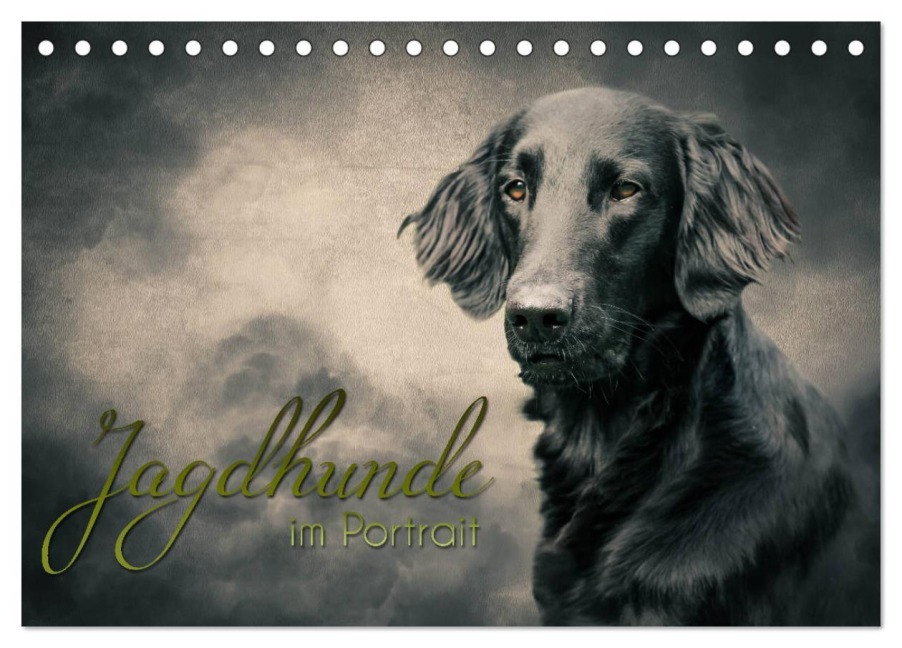 Jagdhunde im Portrait (Tischkalender 2026 DIN A5 quer), CALVENDO Monatskalender - Alexandra Hollstein