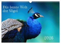 Cover-Bild zum Titel 'Die bunte Welt der Vögel (Wandkalender 2026 DIN A3 quer), CALVENDO Monatskalender' von 'Martina Fornal'