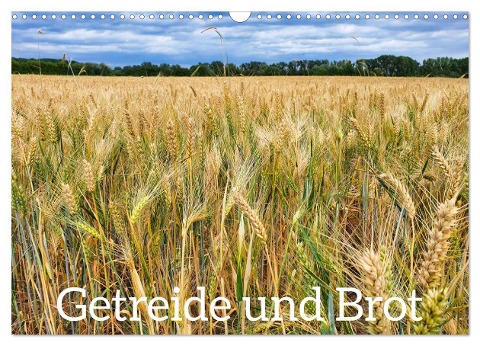 Getreide und Brot (Wandkalender 2025 DIN A3 quer), CALVENDO Monatskalender - Hans-Georg Vorndran