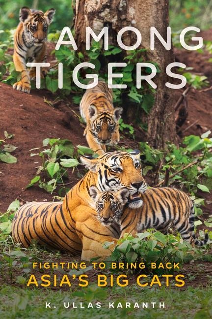 Among Tigers - K Ullas Karanth