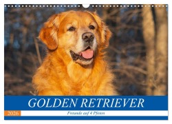 Cover-Bild zum Titel 'Golden Retriever - Freunde auf 4 Pfoten (Wandkalender 2026 DIN A3 quer), CALVENDO Monatskalender' von 'Sigrid Starick'