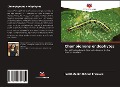 Cover-Bild zum Titel 'Champignons endophytes' von 'Judith Zullim Ortega Enríquez'