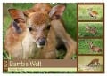 Bambis Welt (Wandkalender 2024 DIN A2 quer), CALVENDO Monatskalender - Heike Hultsch
