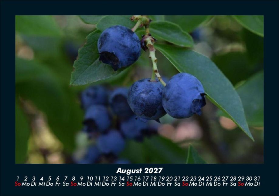 InsideView 12