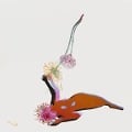 Cover-Bild zum Titel 'The Far Field' von 'Future Islands'