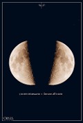 Cover-Bild zum Titel 'L' amore all'inizio' von 'Judith Hermann'