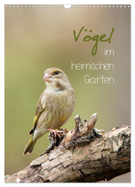 Vögel im heimischen Garten (Wandkalender 2025 DIN A3 hoch), CALVENDO Monatskalender - Heidi Spiegler