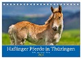 Haflinger Pferde in Thüringen (Tischkalender 2024 DIN A5 quer), CALVENDO Monatskalender - Torsten Irmer