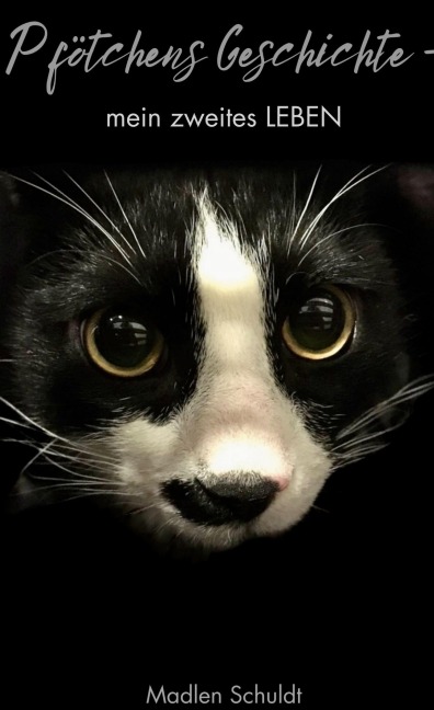Pfötchens Geschichte - Madlen Schuldt