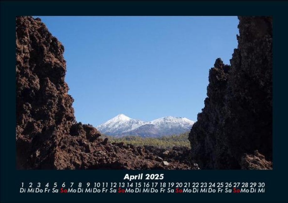 InsideView 8