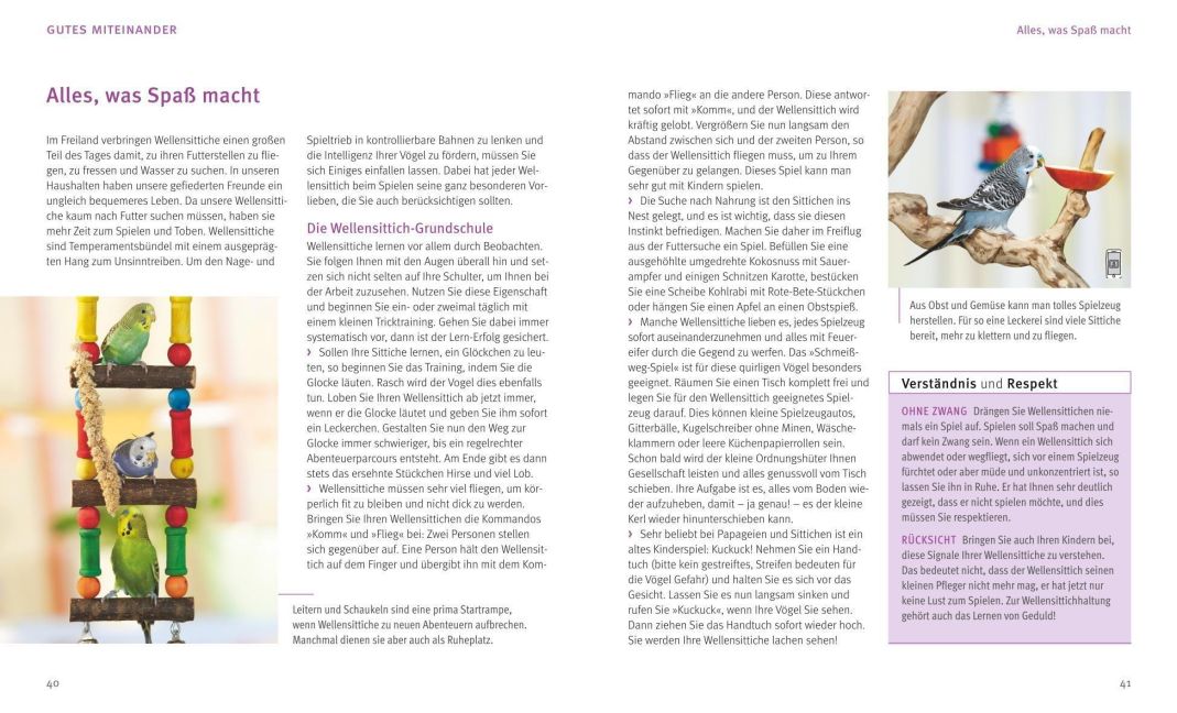 InsideView 5