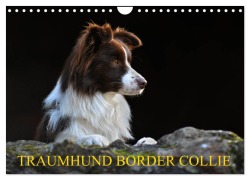 Cover-Bild zum Titel 'Traumhund Border Collie (Wandkalender 2026 DIN A4 quer), CALVENDO Monatskalender' von 'Sigrid Starick'