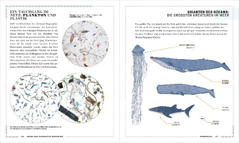 InsideView 11