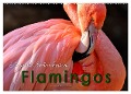 Flamingos - elegante Schönheiten (Wandkalender 2024 DIN A2 quer), CALVENDO Monatskalender - Peter Roder
