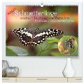 achja?! Schmetterlinge, exotisch, bunt und wunderschön (hochwertiger Premium Wandkalender 2025 DIN A2 quer), Kunstdruck in Hochglanz - Sabine Löwer