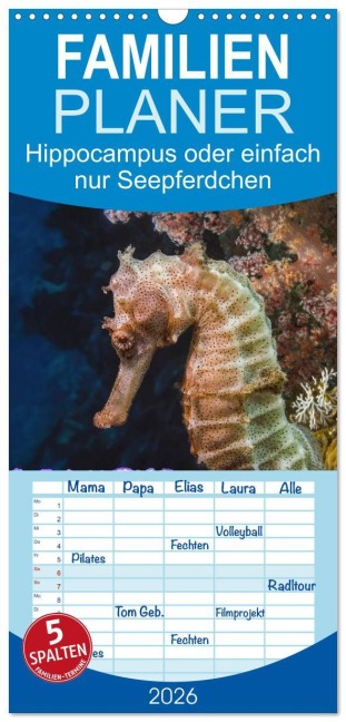 Familienplaner 2026 - Hippocampus oder einfach nur Seepferdchen mit 5 Spalten (Wandkalender, 21 x 45 cm) CALVENDO - Dieter Gödecke