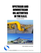 Cover-Bild zum Titel 'Upstream and Downstream Oil Activities in the DRC (NEW HORIZON COLLECTION, #1)' von 'Fortuné Satou'