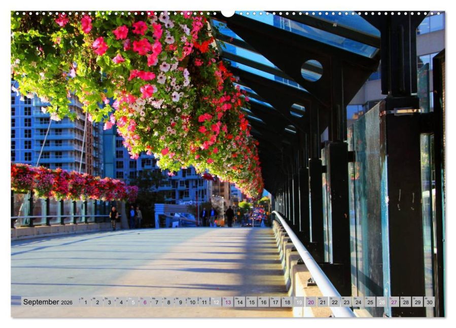 InsideView 14