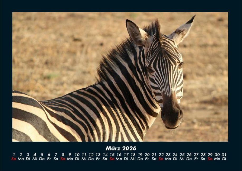 InsideView 7