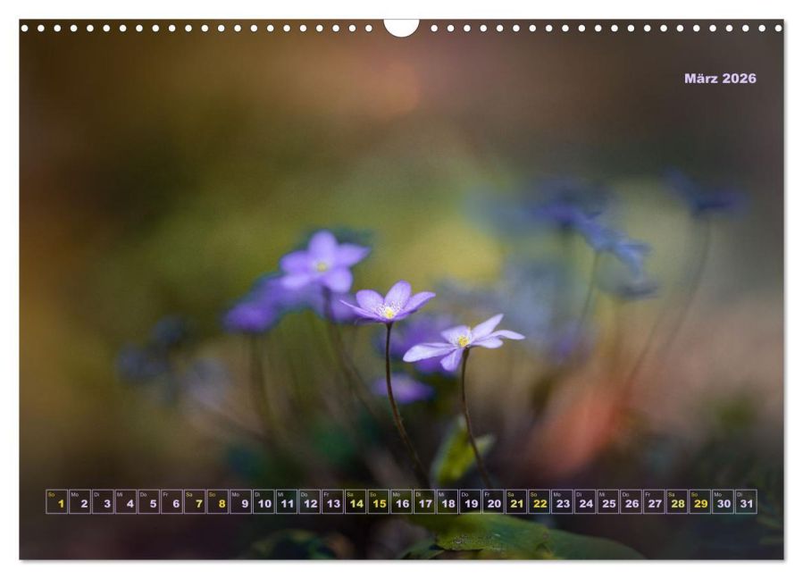InsideView 8